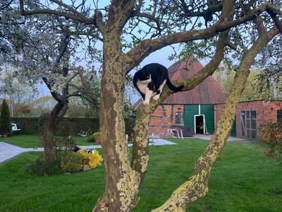 Bild 41 aus  Ostseeferienhof Tralau