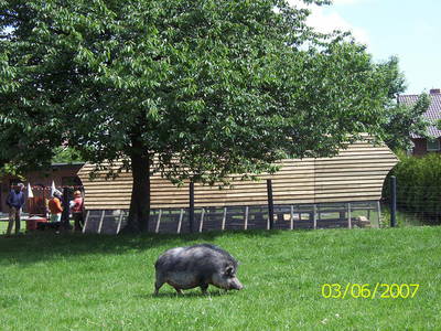 Bild 40 aus  Hof Schlossblick  " der etwas andere Bauernhof "