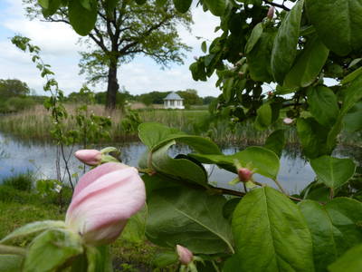 Bild 47 aus  FerienGut Dalwitz     www.feriengutdalwitz.de