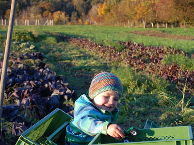 Bild 34 aus  Biohof Pürten