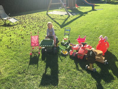 Bild 12 aus  Gästehaus Nassfeld - kleines und persönliches Landhaus