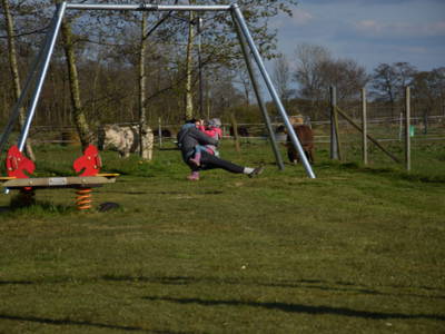 Bild 25 aus  Ponyhof Goldenstein