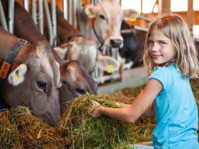 Bild 9 aus  Schädlerhof
