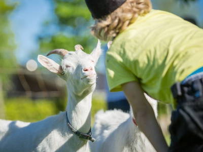 Bild 18 aus  Ferienhof Becker