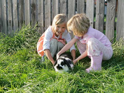 Bild 8 aus  Martinshof