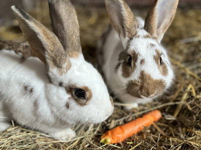 Bild 6 aus  "Ekenhoff"