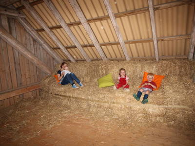 Bild 14 aus  Schellen Hof