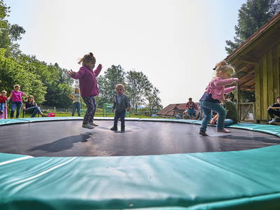 Bild 20 aus  Kinderparadies Höcker - Bio-Bauernhof