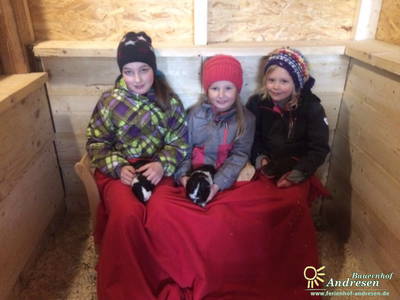 Bild 6 aus  Ferienhof Andresen Nordsee