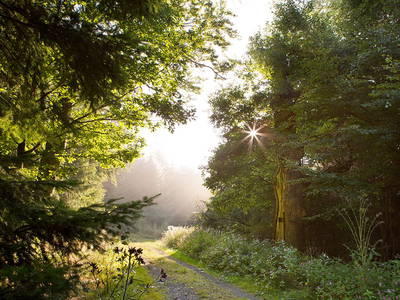 Bild 21 aus  LandSelection Landhaus Bärenmühle