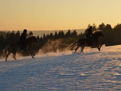 Bild 10 aus  Sternenhof