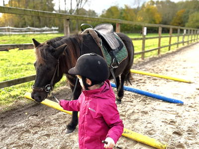 Bild 16 aus  Ferienhaus / Chalet auf dem Gestüt Lohhof mit Kinderreiten oder Pony Reiten
