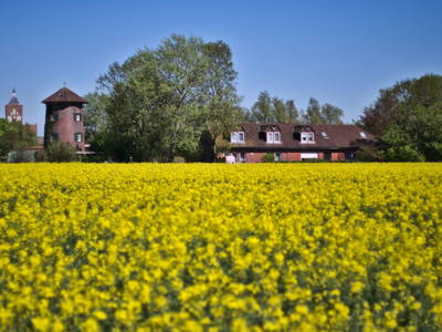 Bild 3 aus  Familie Itzenga "Hof am Turm"