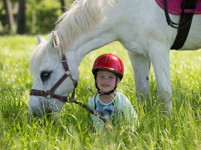 Bild 28 aus  Gut Friederikenhof
