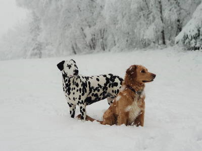 Bild 18 aus  Ferienhof-Marx