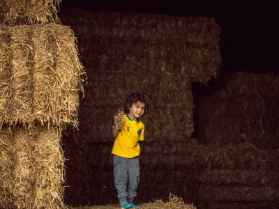 Bild 21 aus  Ferienbauernhof Storchenhäusle