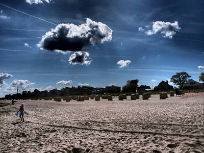 Bild 36 aus  Gestüt Hof am See