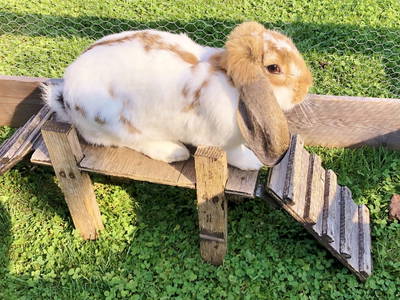 Bild 36 aus  Reiherhof