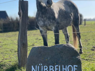 Bild 33 aus  Nübbelhof