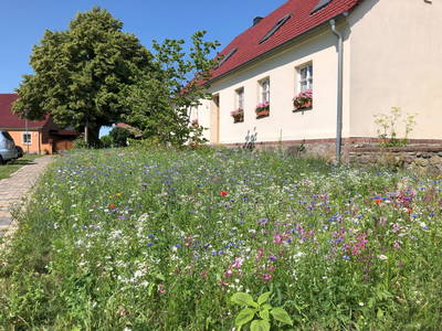 Bild 19 aus  Braunsberger Höfe