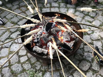 Bild 12 aus  Görgenhof - Gnadenhof für Bauernhoftiere
