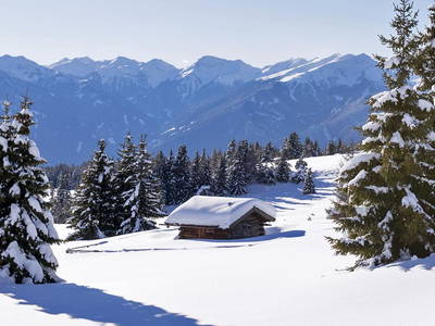 Bild 12 aus  Appartement Birkenhof - Urlaub mit Pferden und Alpakas