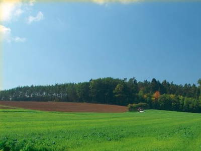 Bild 12 aus  Birkenhof