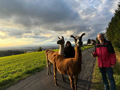 Bild 18 aus  Birkholmhof - mit Biopool und Hot-Tub Whirlpool - für  Familien und Gruppen