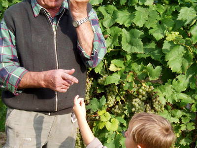 Bild 7 aus  Maienbrunnenhof