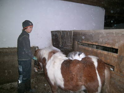 Bild 26 aus  Ferienwohnung Donebauer