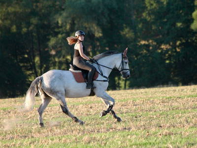 Bild 24 aus  Gut Sommereichen