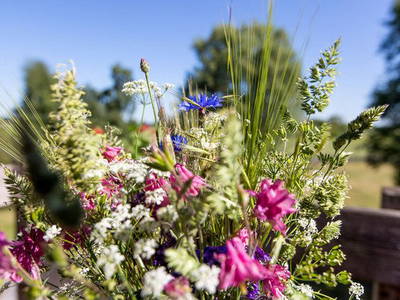 Bild 13 aus  Gästehaus BärenHof