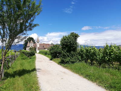 Bild 27 aus  Ansitz Grustdorf