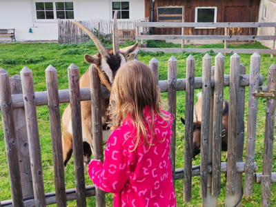 Bild 5 aus  Gmeinder's Landhaus