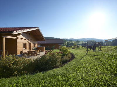 Bild 3 aus  Wenighof