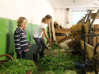 Bild 27 aus  Biohof Bilger