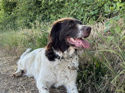 Bild 6 aus  Ferienhof Theede- Urlaub in Ostseenähe