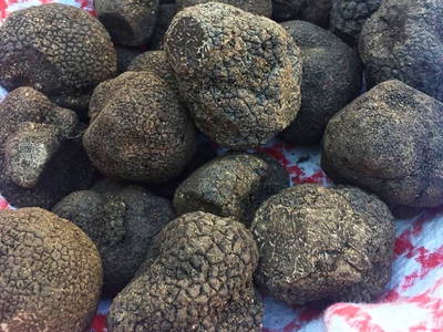 Der Périgord ist bekannt für Schwarze Trüffel. Schon mal probiert?