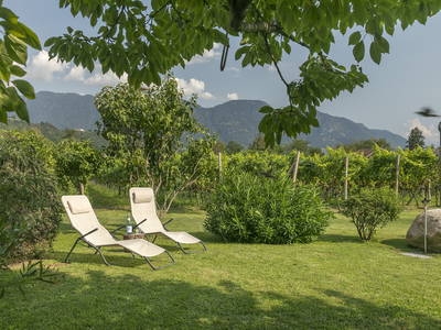 Bild 30 aus  Neuhauserhof