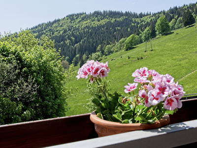 Aussicht vom Balkon auf den Franzosenberg