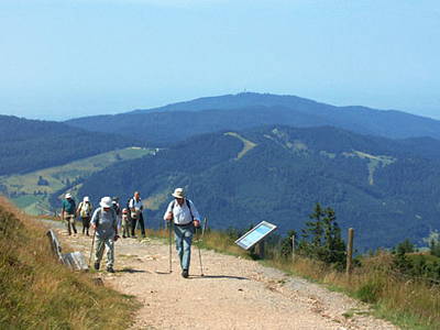 Bild 26 aus  Bauernhof Rützler