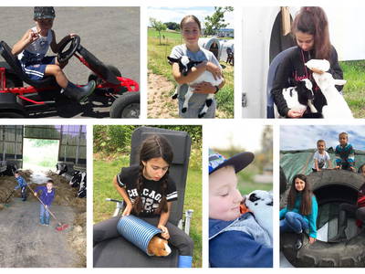 Bild 33 aus  Marienhof