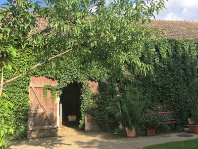 Bild 12 aus  Ferienhof Tillich - Erholsamer Landurlaub nahe dem Spreewald