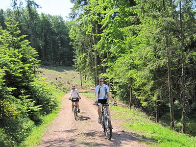 Bild 16 aus  Danielenhof