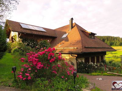 Bild 8 aus  „Hernis-Höfle“ Wohlfühlambiente im Elztal  5⭐️Sterneferien.