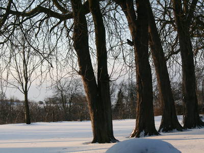 Bild 54 aus  Gut Friederikenhof