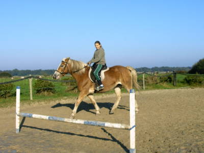 Bild 10 aus  Ferienhof Röhling