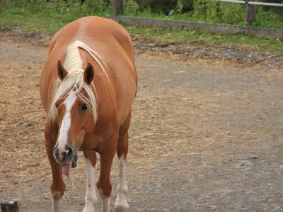 Bild 80 aus  Casa Bivignano