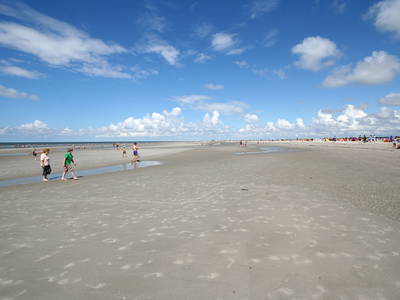 Bild 58 aus  Ferienhof Peter -  Ponys - streicheln, striegeln, füttern  -  Wattwanderungen + ganz viel Nordsee