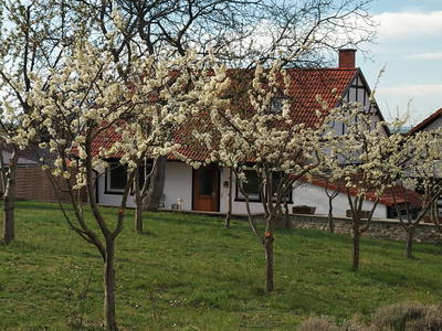 Bild 20 aus  Pension-Landhaus "Zum Ross"